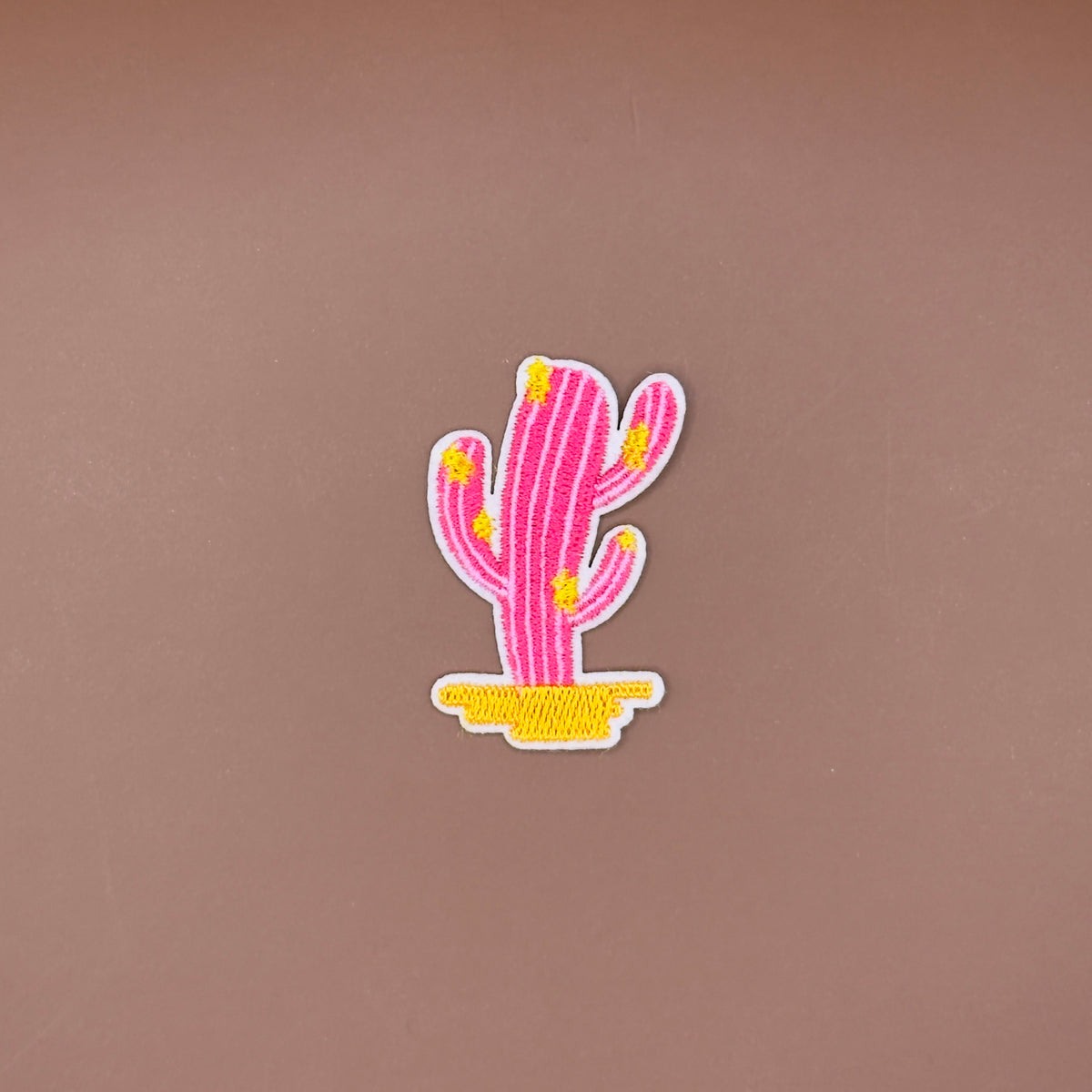 Desert Cactus Patch
